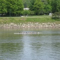 picture 145 jpg